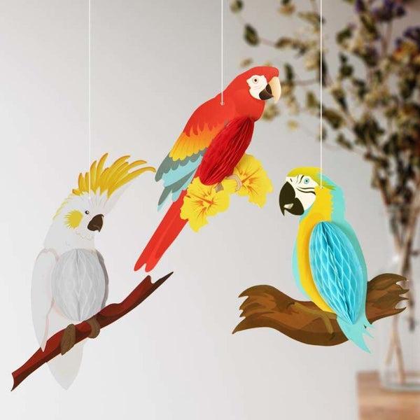 Parrot Honeycomb Decorations-ToShay.org