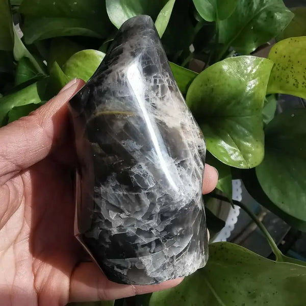 Black Moonstone Crystal Flame-ToShay.org