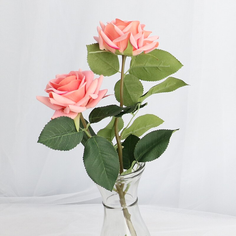 Rose Flowers-ToShay.org