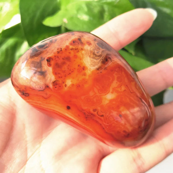 Red Sardonyx Carnelian Agate-ToShay.org