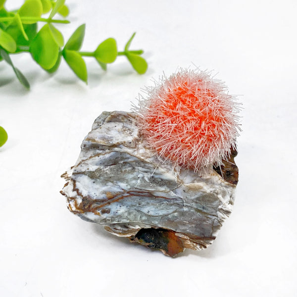 Orange Zeolite Cluster-ToShay.org