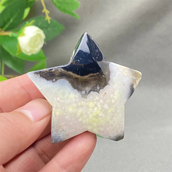 Black Cherry Blossom Agate-ToShay.org