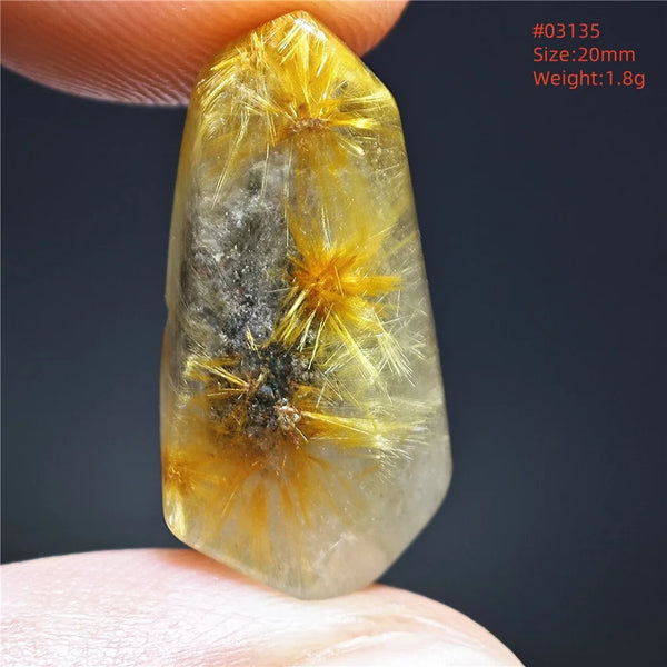Gold Rutilated Quartz-ToShay.org