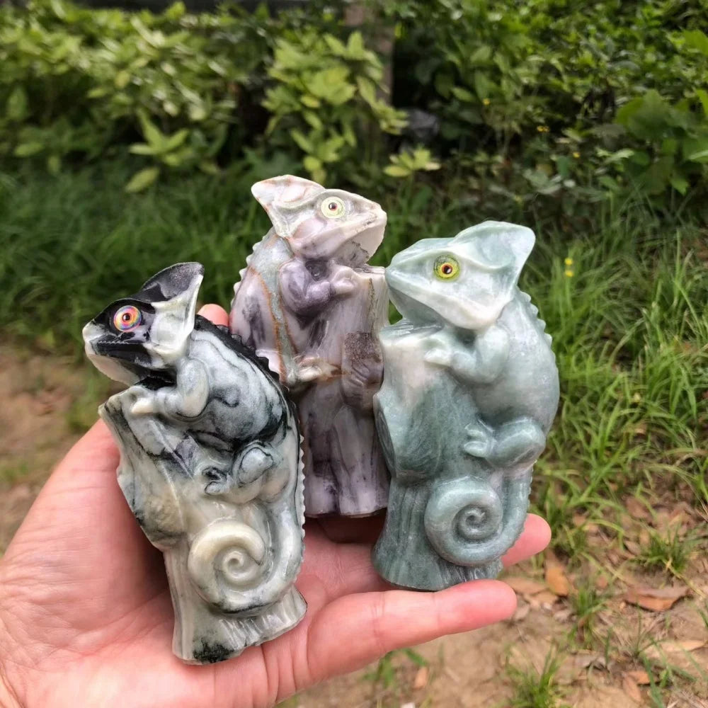 Mixed Jade Lizard-ToShay.org