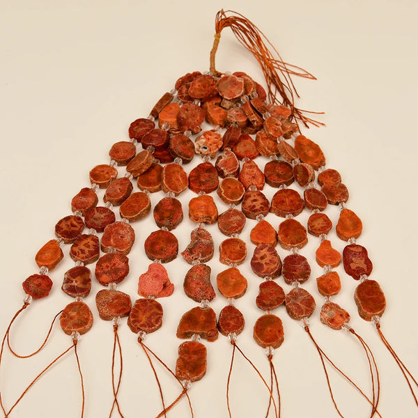 Red Orange Coral Slice-ToShay.org