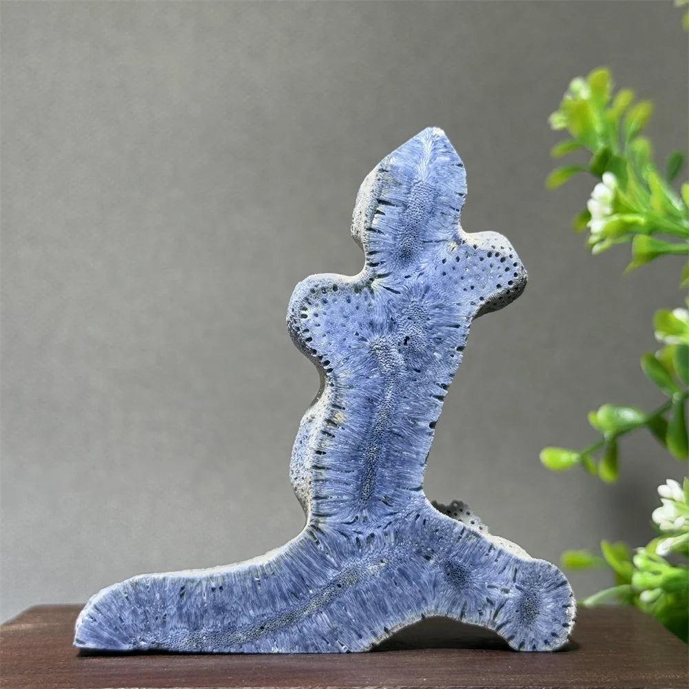 Blue Coral Crystal-ToShay.org