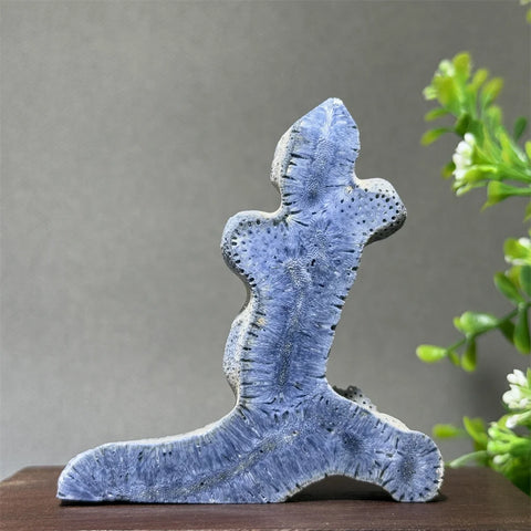Blue Coral Crystal-ToShay.org