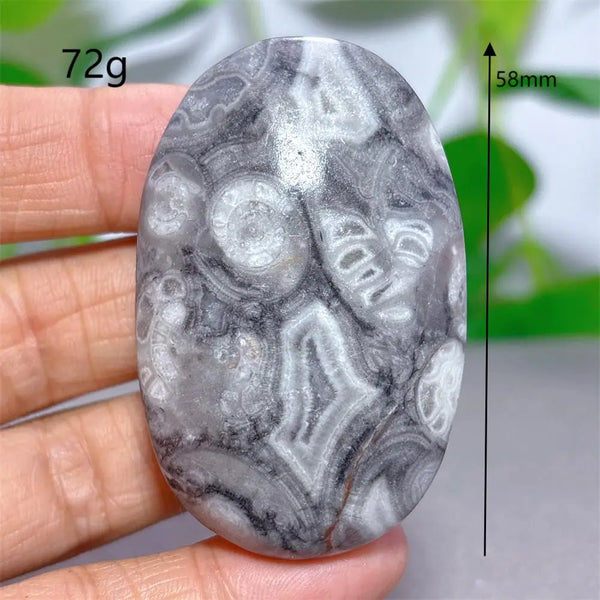 Black White Shellstone-ToShay.org