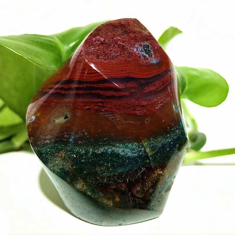 Ocean Jasper Point Flame-ToShay.org
