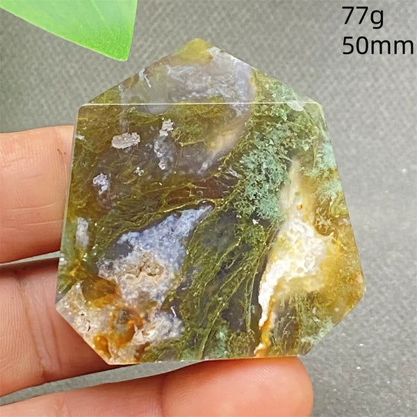 Green Water Plant Agate-ToShay.org
