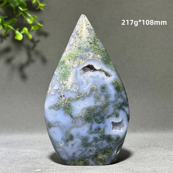 Green Aquatic Plant Agate-ToShay.org