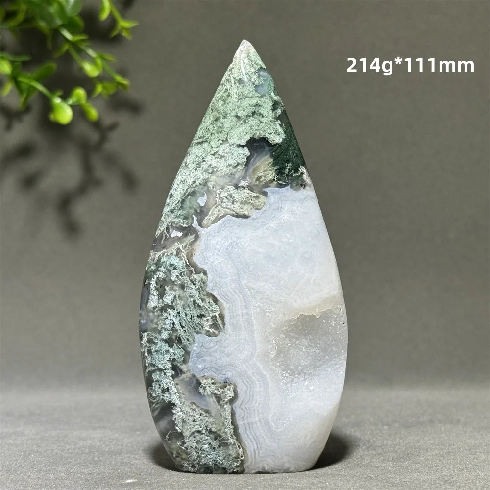 Green Aquatic Plant Agate-ToShay.org