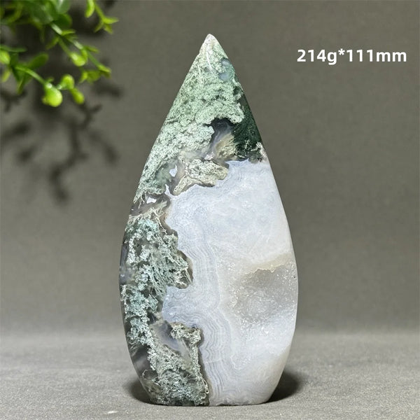 Green Aquatic Plant Agate-ToShay.org