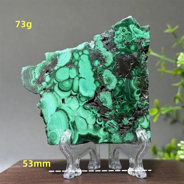 Green Malachite Slice-ToShay.org