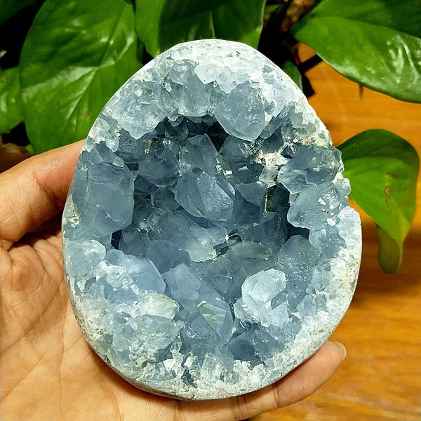 Blue Celestine Geode Crystal-ToShay.org