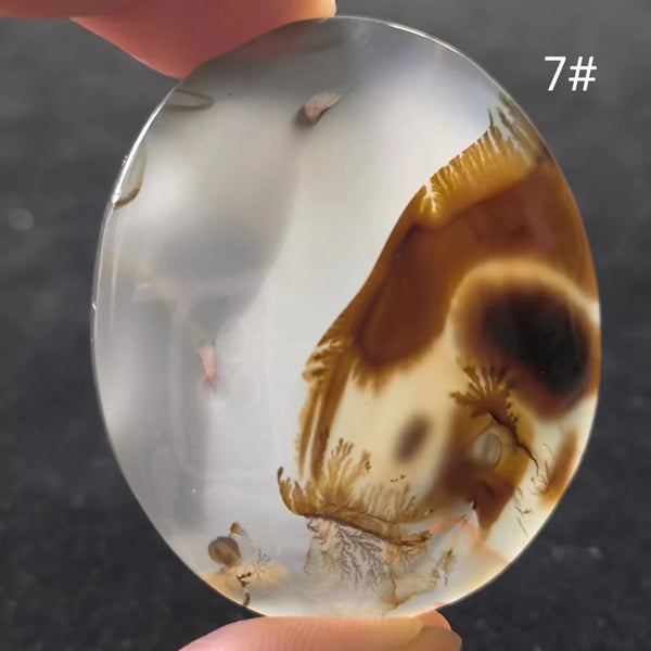 White Onyx Ocean Chalcedony-ToShay.org