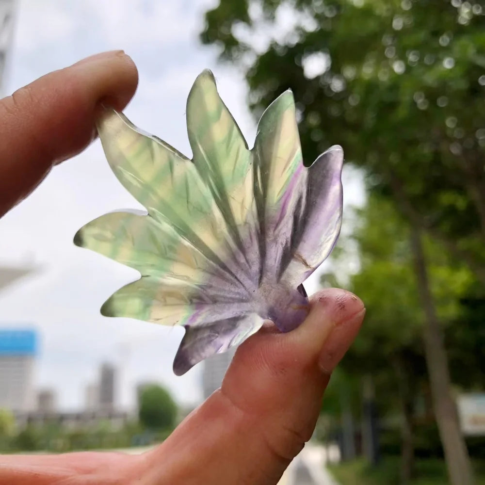Mixed Crystal Leaf-ToShay.org