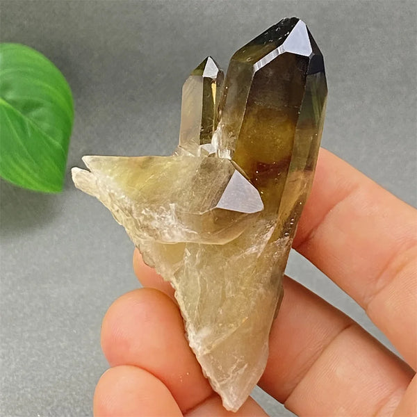 Yellow Black Smoky Quartz-ToShay.org