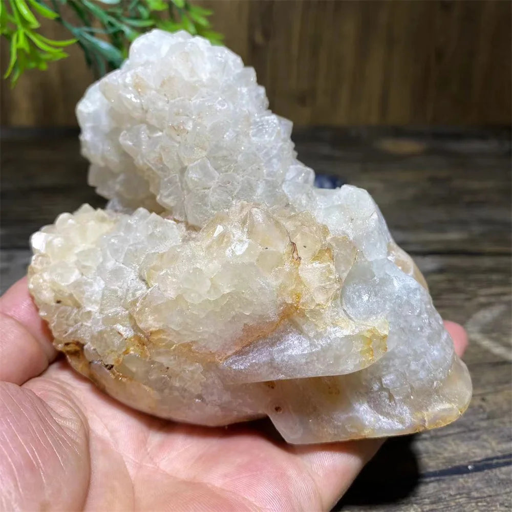 White Quartz Skull Cluster-ToShay.org