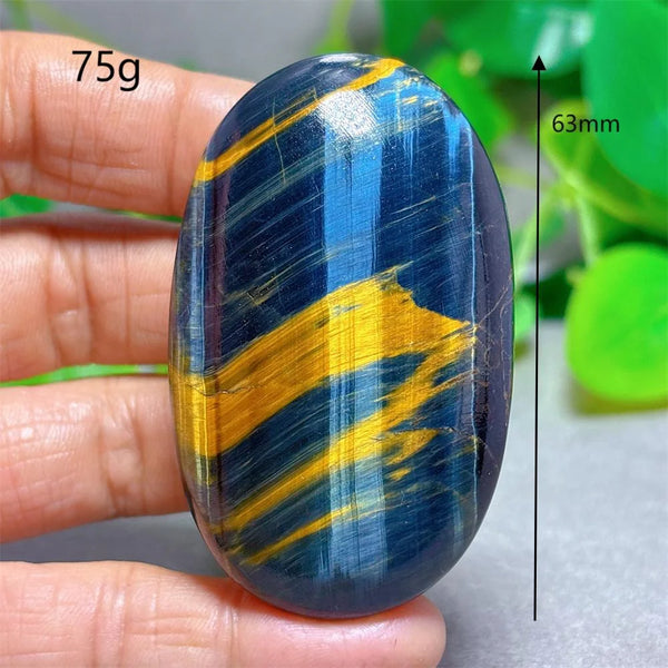 Blue Yellow Tiger Eye-ToShay.org