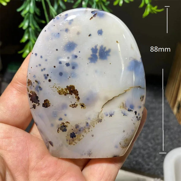 White Ink Moss Tree Agate-ToShay.org