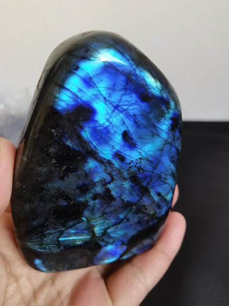 Blue Labrador Quartz Crystal-ToShay.org