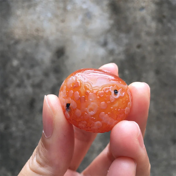 Red Sardonyx Gobi Agate-ToShay.org
