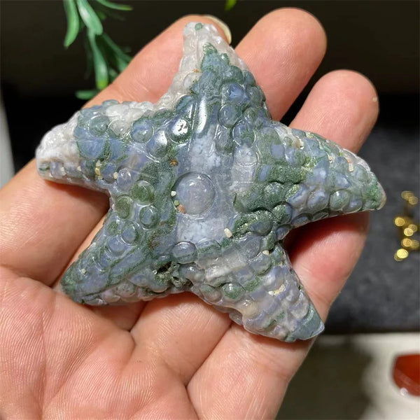 Green Moss Agate Starfish-ToShay.org