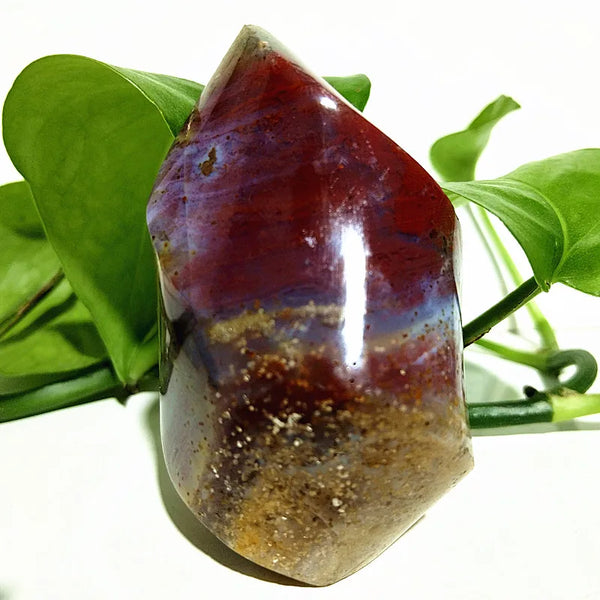 Ocean Jasper Point Flame-ToShay.org