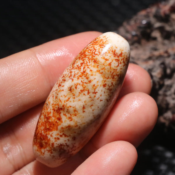 Tibetan Agate Eyes Dzi-ToShay.org