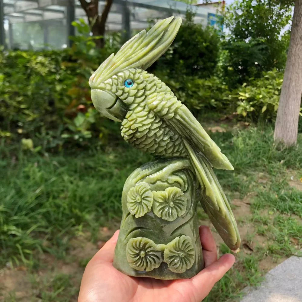 Green Jade Cockatiel Parrot-ToShay.org