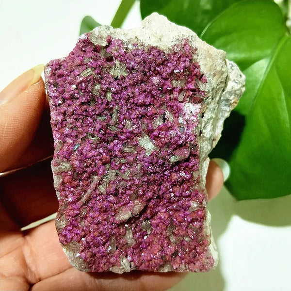 Pink Cobaltocalcite Raw Rock-ToShay.org