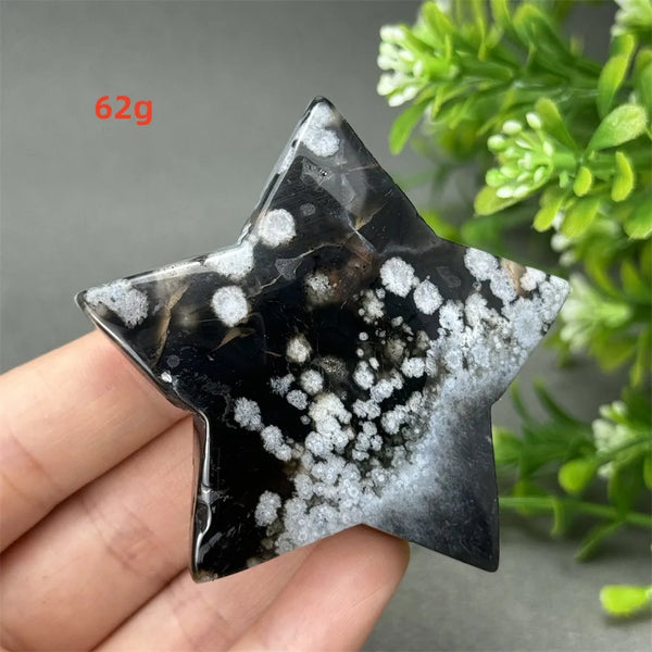 Black Cherry Blossom Agate-ToShay.org