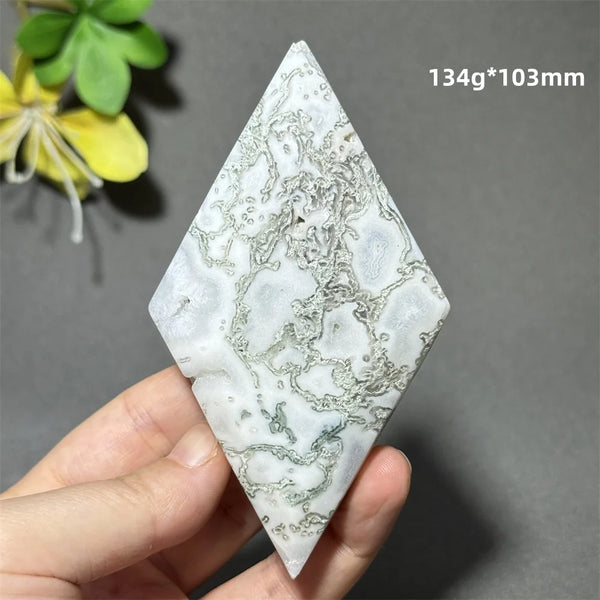 Green Aquatic Plant Agate-ToShay.org