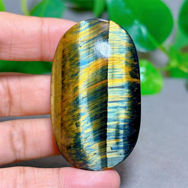 Blue Yellow Tiger Eye-ToShay.org