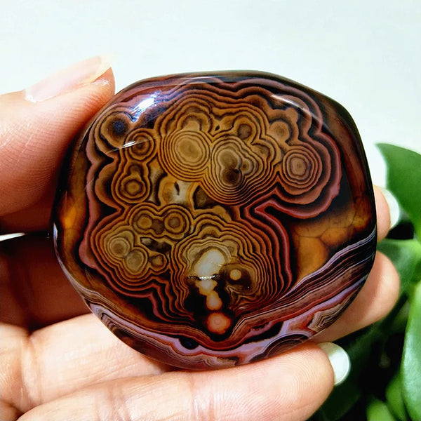 Red Lace Sardonyx Palm Stones-ToShay.org