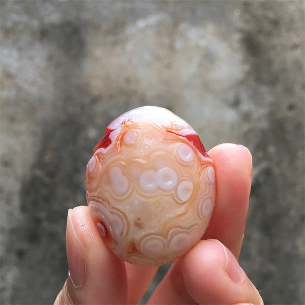 Red Sardonyx Gobi Agate-ToShay.org