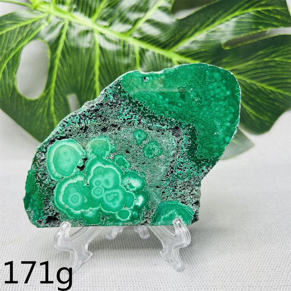 Green Malachite Slice-ToShay.org