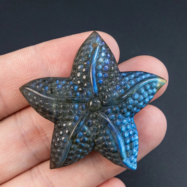 Blue Flash Labradorite Starfish-ToShay.org