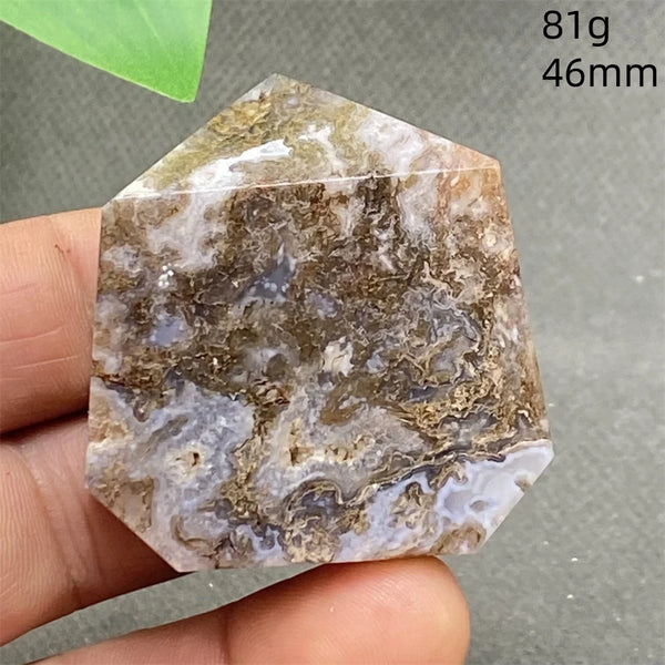 Green Water Plant Agate-ToShay.org