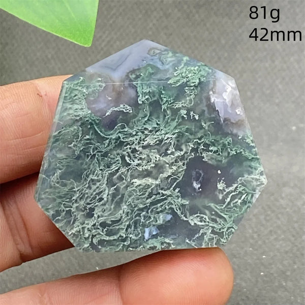 Green Water Plant Agate-ToShay.org