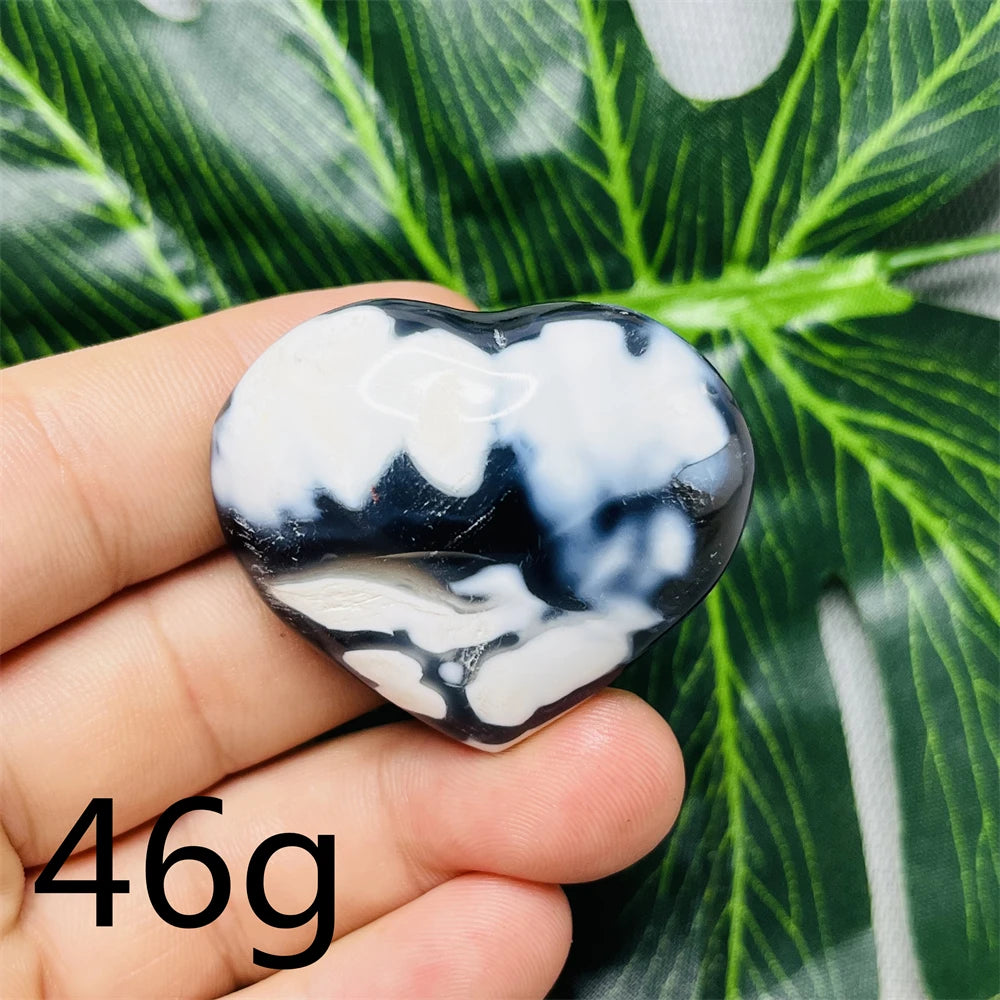 Black White Orca Agate-ToShay.org