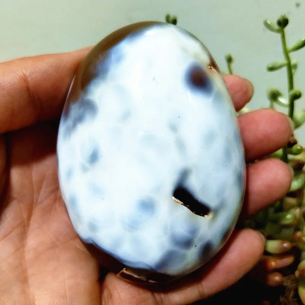 Mixed Lace Sardonyx Agate-ToShay.org