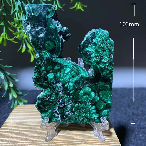Green Malachite Slice-ToShay.org