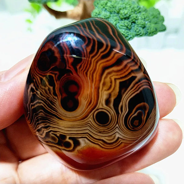 Red Lace Sardonyx Agate-ToShay.org