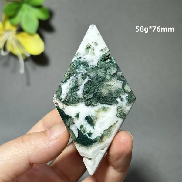 Green Aquatic Plant Agate-ToShay.org