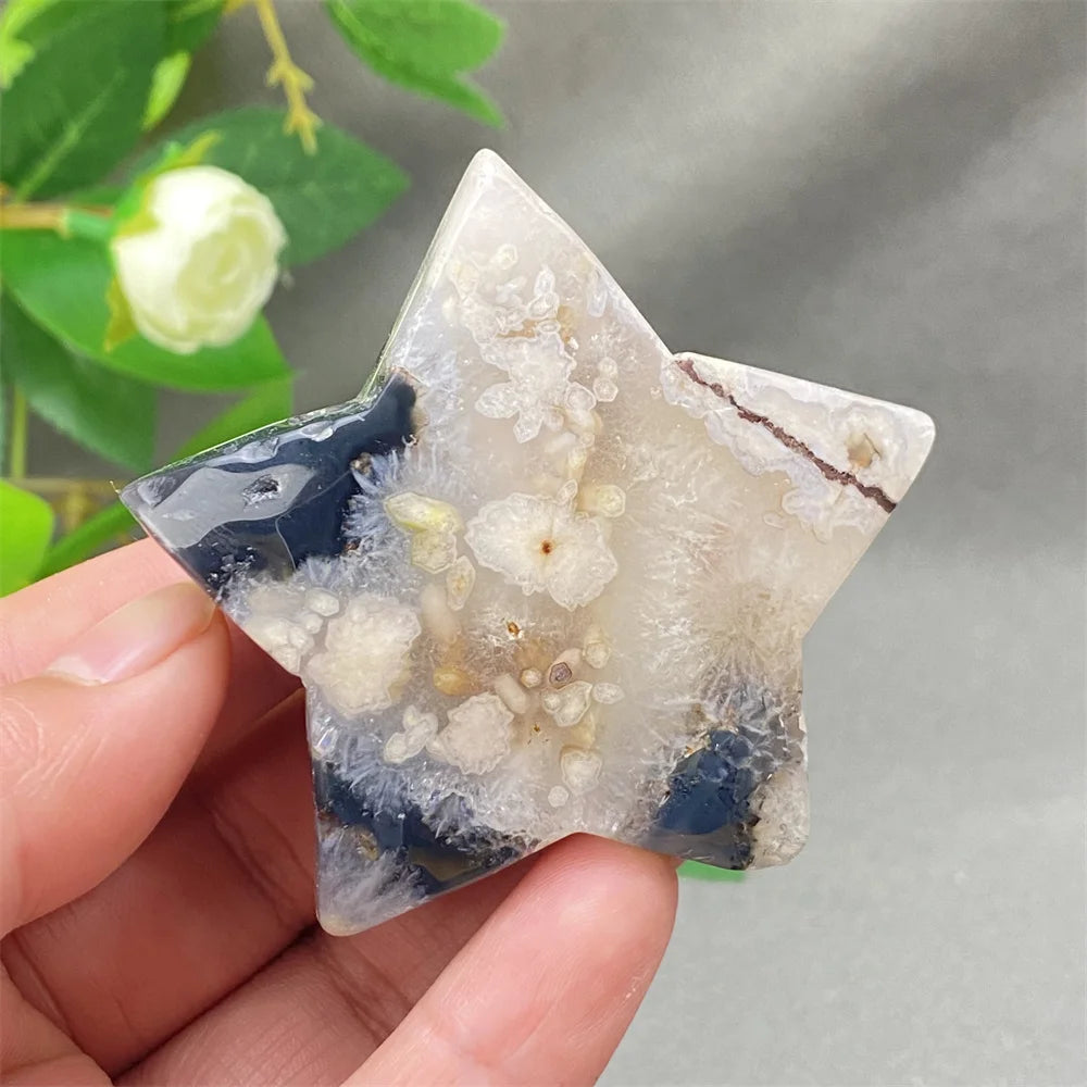 Black Cherry Blossom Agate-ToShay.org