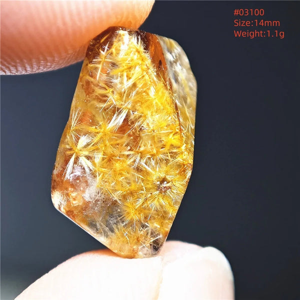 Gold Rutilated Quartz-ToShay.org