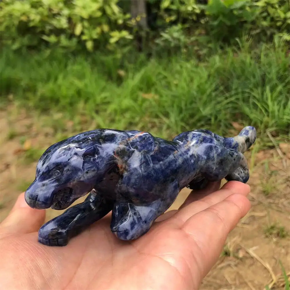 Blue Sodalite Cheetah-ToShay.org