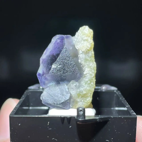 Mixed Quartz Crystals-ToShay.org